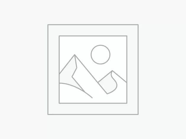 CMS - Plugin for WordPress